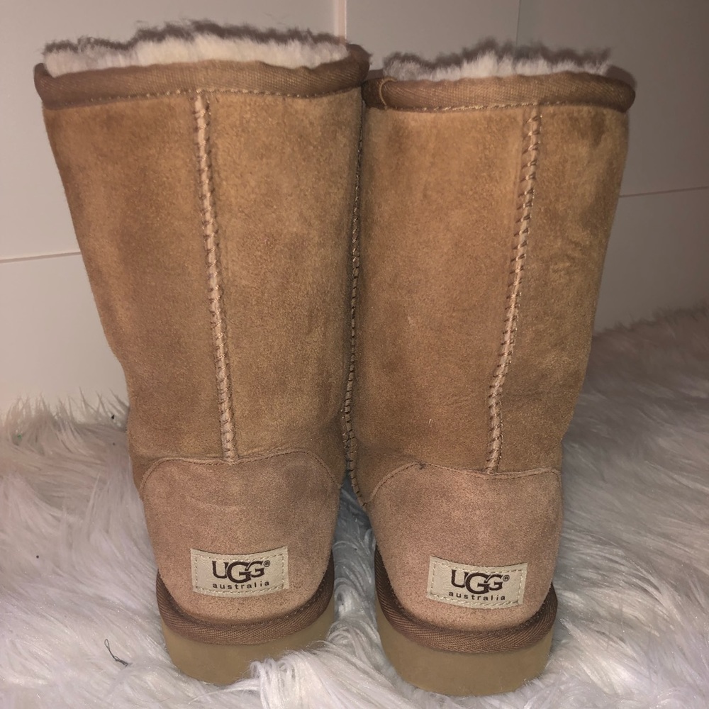 Classic Tan Uggs